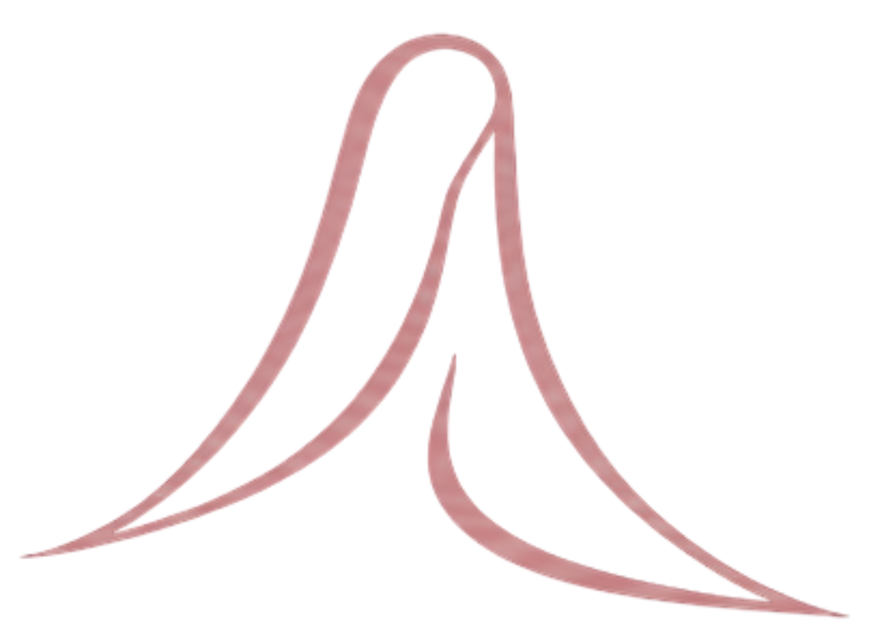 Veil by Aisha